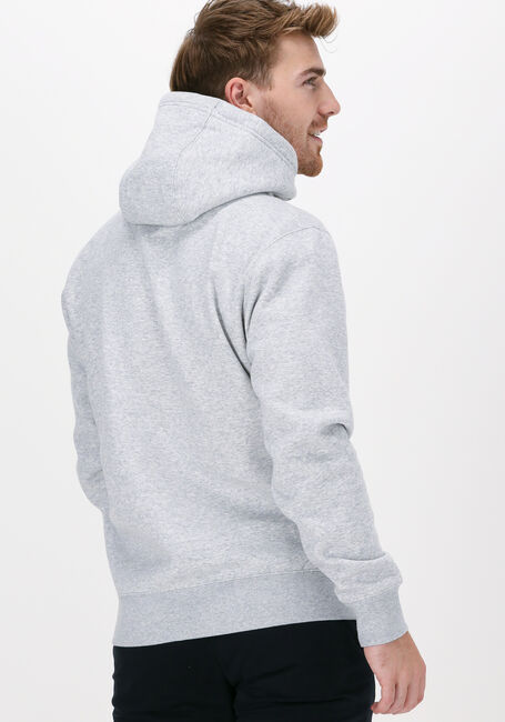 Lichtgrijze TOMMY JEANS Sweater TJM REGULAR FLEECE HOODIE - large