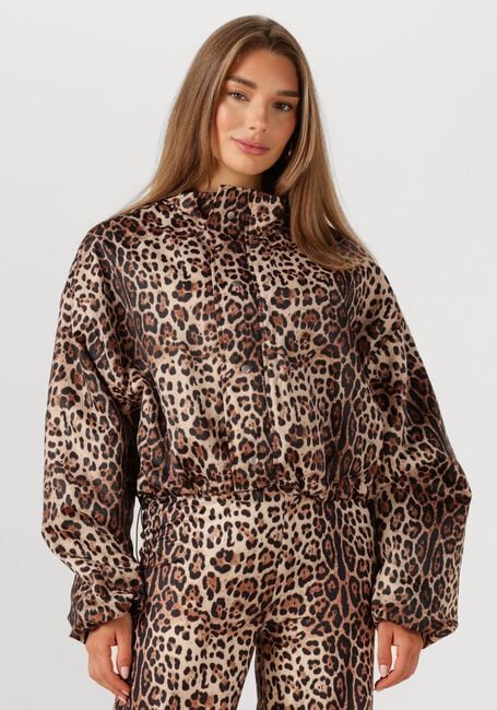 STUDIO AMAYA Jack FELINE en marron - large