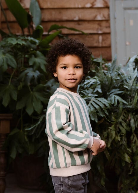 Groene DAILY7 Sweater SWEATER OVERSIZED STRIPE Groene DAILY7 Sweater SWEATER OVERSIZED STRIPE - large