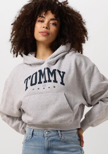 TOMMY JEANS Pull TJW VTG VARSITY 1 HOODIE Gris clair - large