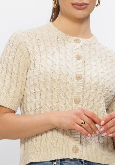 MY ESSENTIAL WARDROBE Gilet DIVAMW KNIT CARDIGAN en marron - large