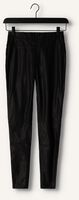 KNIT-TED AMBER PANT KNIT-TED AMBER PANT - medium