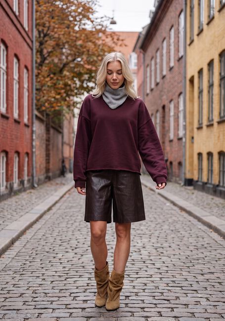 Bruine CIRCLE OF TRUST Korte broek PHEBE SHORT - large