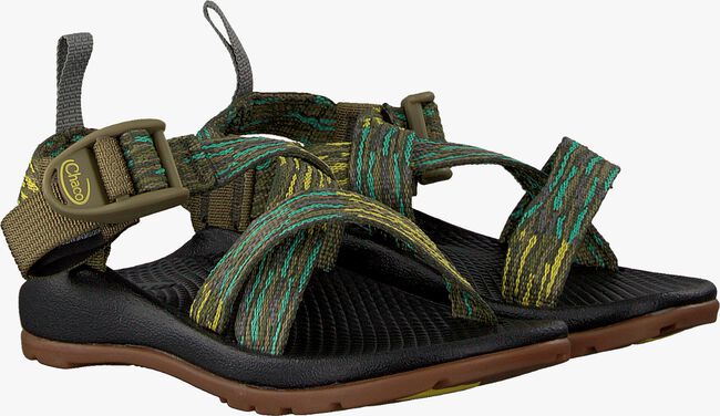 CHACO AMP KIDS - large