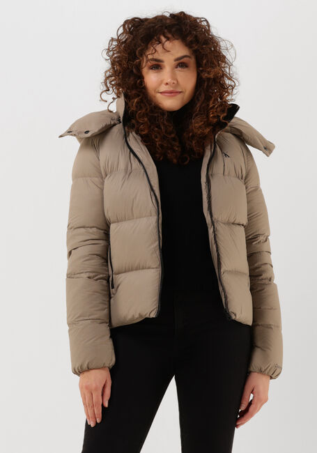 Taupe CALVIN KLEIN Gewatteerde jas CK MW DOWN SHORT PUFFER - large