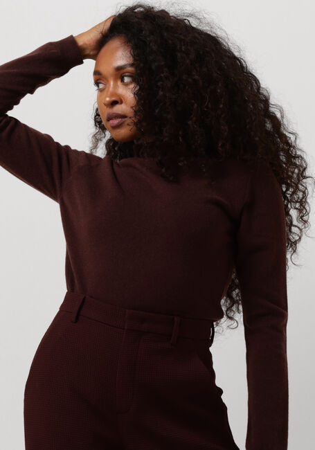 VANILIA Col roulé SHEER CASHMERE ROLLNECK en marron - large