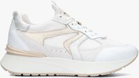 Witte NERO GIARDINI Lage sneakers 409875 - medium