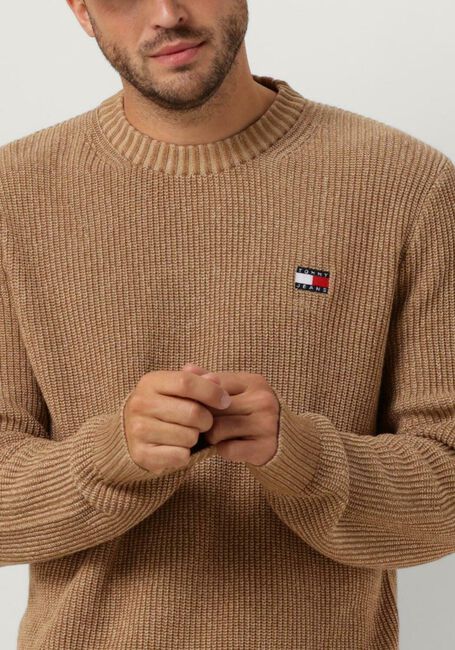 TOMMY JEANS Pull TJM REG TONAL XS BADGE SWEATER en beige - large