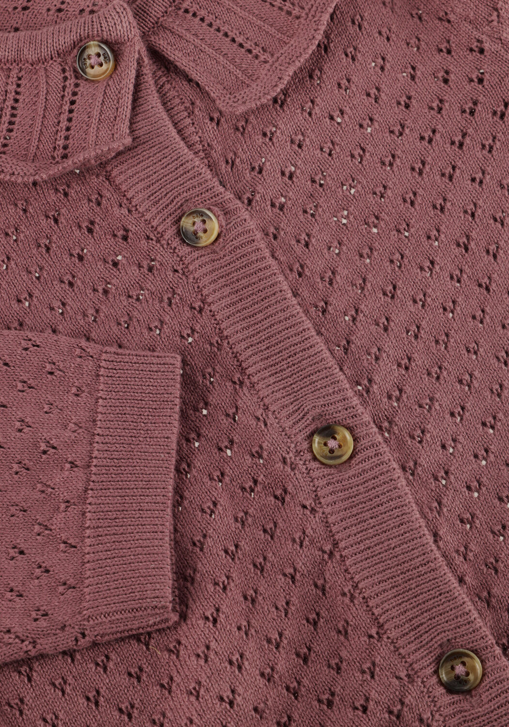 Paarse BAJE STUDIO  CHARDONNE - large