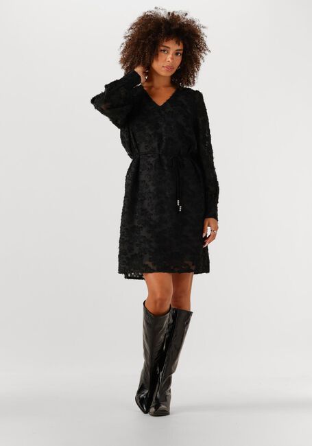 FREEBIRD DION - large