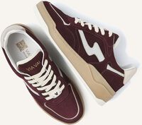 VIA VAI SAM LEVI VIA VAI SAM LEVI - medium