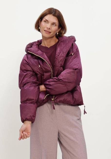 BEAUMONT Veste matelass&eacute; MARIAN JACKET Bordeaux - large