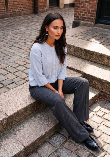 Blauwe MODSTR&Ouml;M Truien/vesten BAILORMD CARDIGAN - large