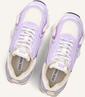 Paarse STEVE MADDEN Sneakers SPEEDSTER Paarse STEVE MADDEN Sneakers SPEEDSTER - medium