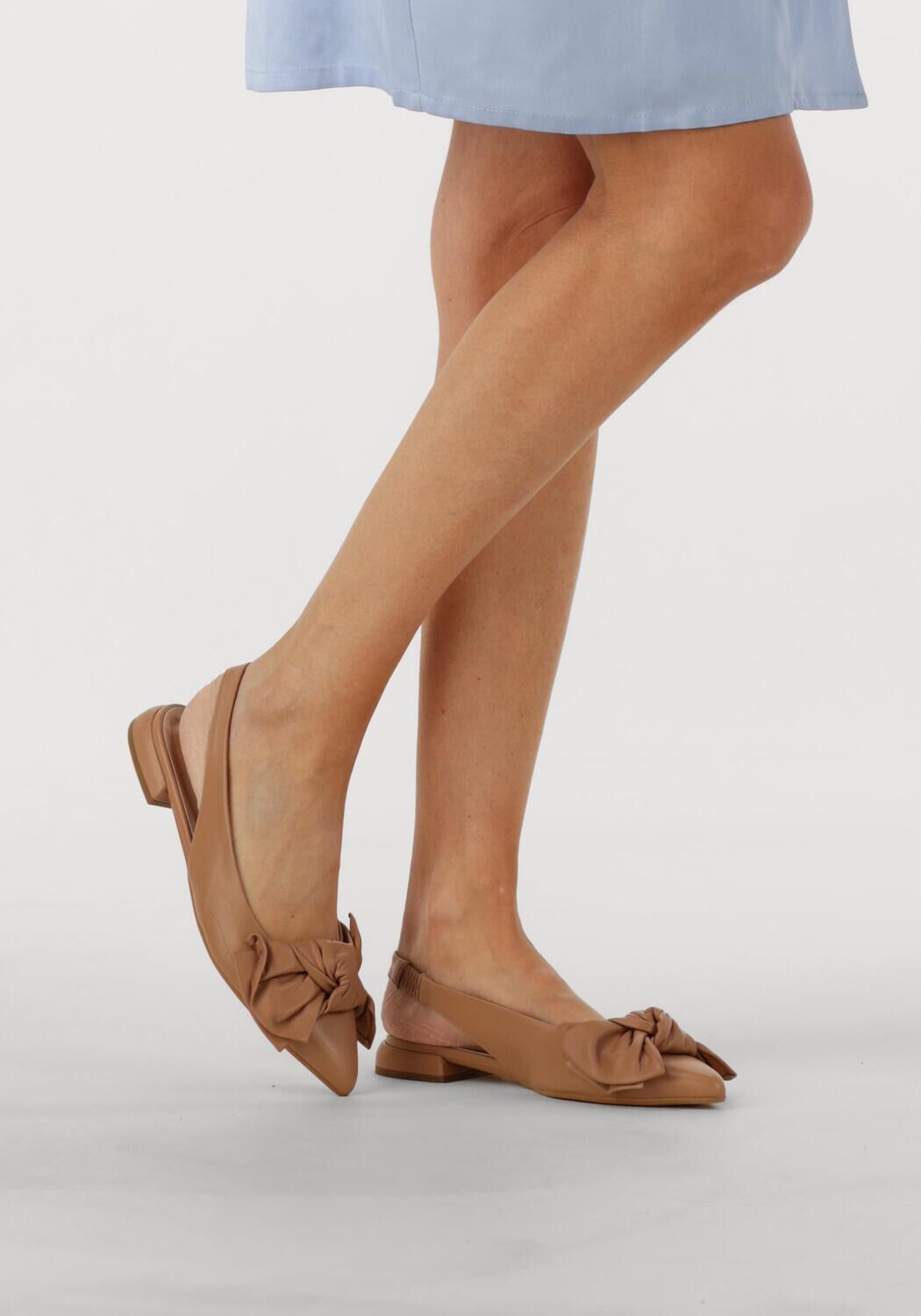 Camel NOTRE-V  43251 - large