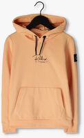 Perzik RELLIX Sweater HOODED WE ARE CURIOUS - medium