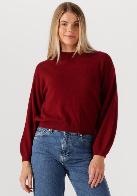 TWNS Pull COLORADO Bordeaux - large