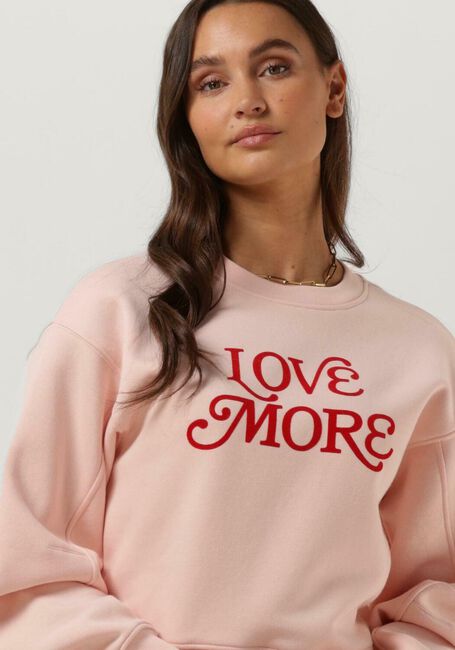 CATWALK JUNKIE Pull SW LOVE MORE en rose - large