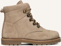 Taupe DU LOUA  LOUEN Taupe DU LOUA  LOUEN - medium