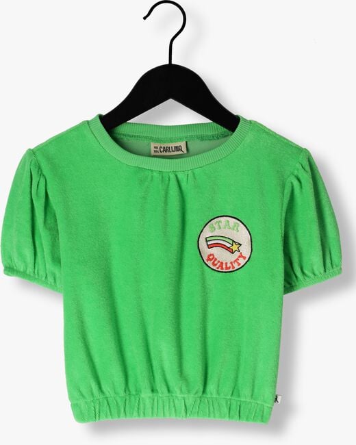 Groene CARLIJNQ T-shirt BASIC - PUFFED HSORT SLEEVE WITH EMBROIDERY - large