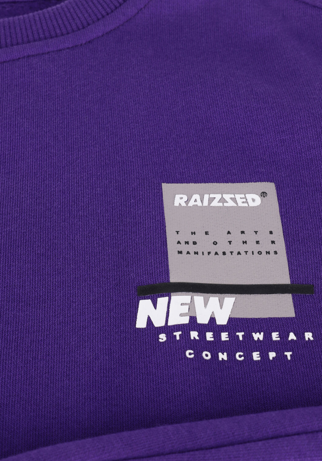 RAIZZED Pull MILLER en violet - large