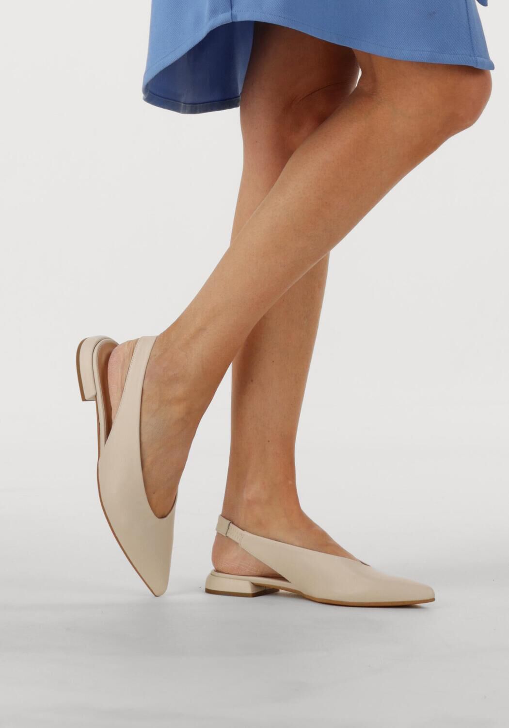 Witte NOTRE-V  12218 - large