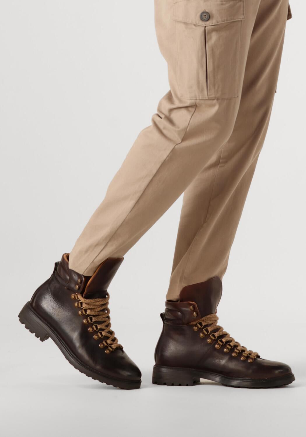 Bruine STEFANO LAURAN  1562 - large