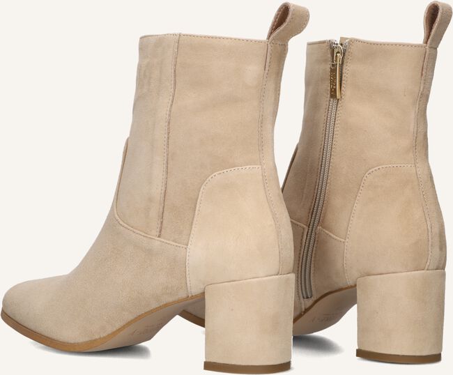 NOTRE-V 8543 NOTRE-V 8543 - large