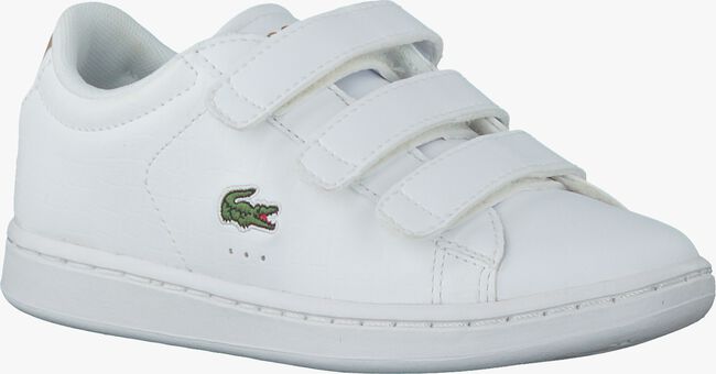 Witte LACOSTE Sneakers CARNABY - large