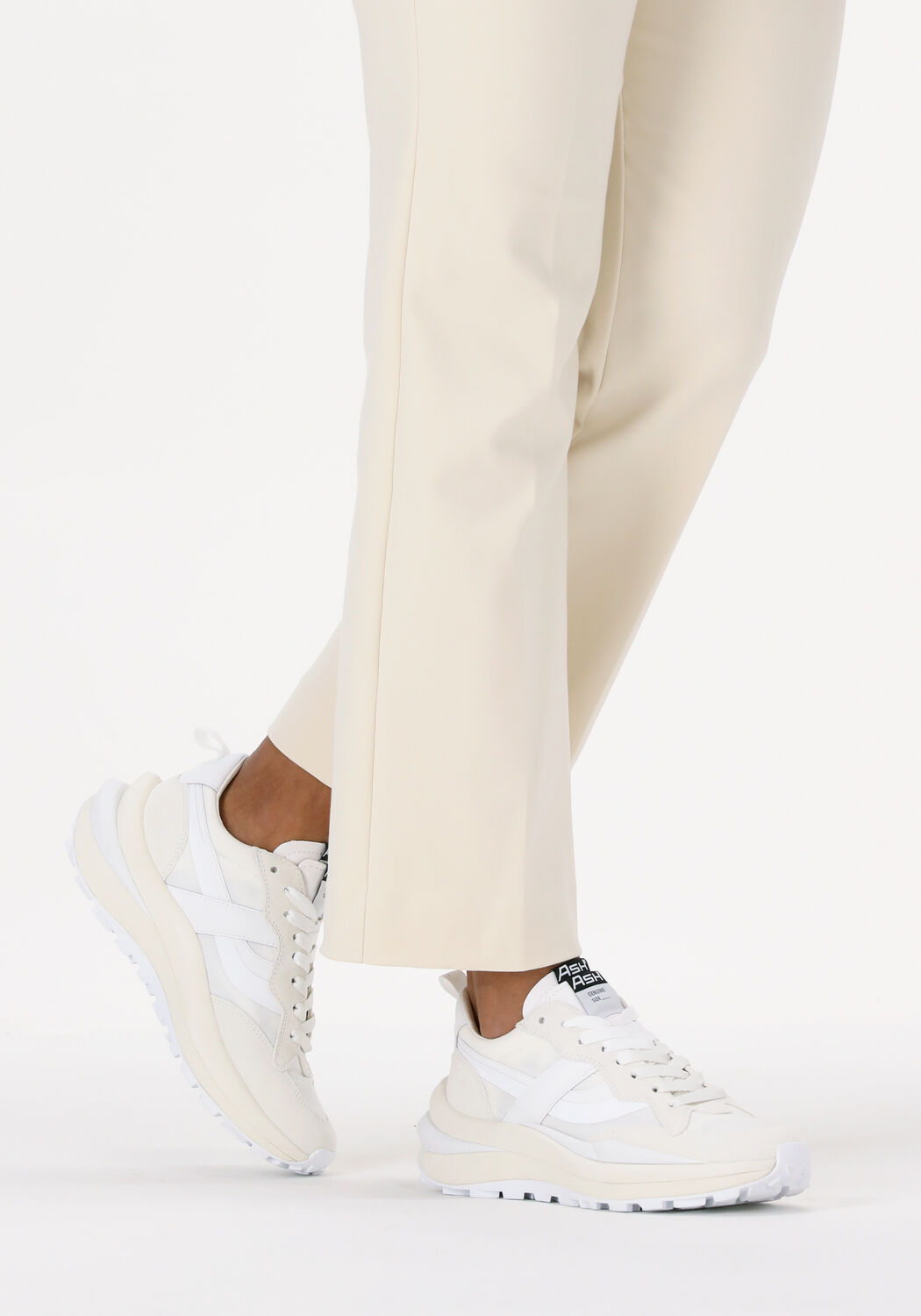 Witte ASH Sneakers SPIDER - large