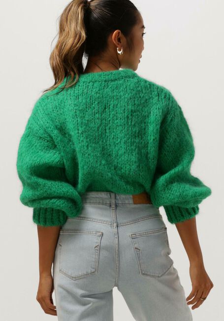 Groene AMERICAN DREAMS Trui LEONNIE ALPACA PULLOVER - large
