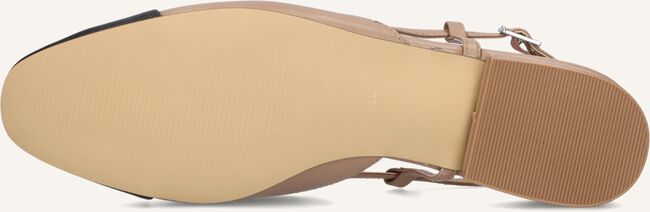 Bruine STEVE MADDEN  BELINDA Bruine STEVE MADDEN  BELINDA - large