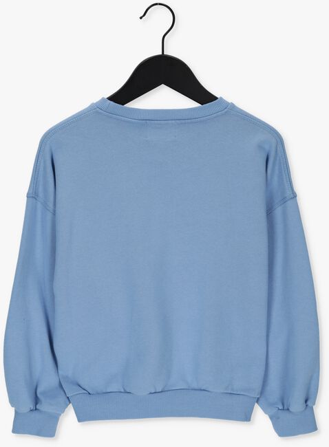 Lichtblauwe WANDER & WONDER Sweater SWEATSHIRT - large
