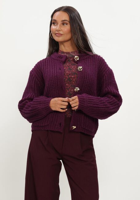 Bordeaux YDENCE Trui CARDIGAN IRENE - large