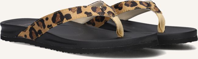 Bruine BLASZ Slippers BELLA 2402 Bruine BLASZ Slippers BELLA 2402 - large