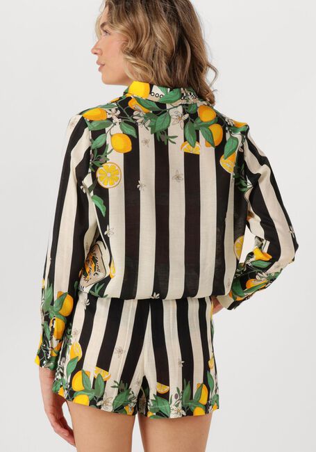 Zwarte WILD  BONAVENTURE SICILY - large