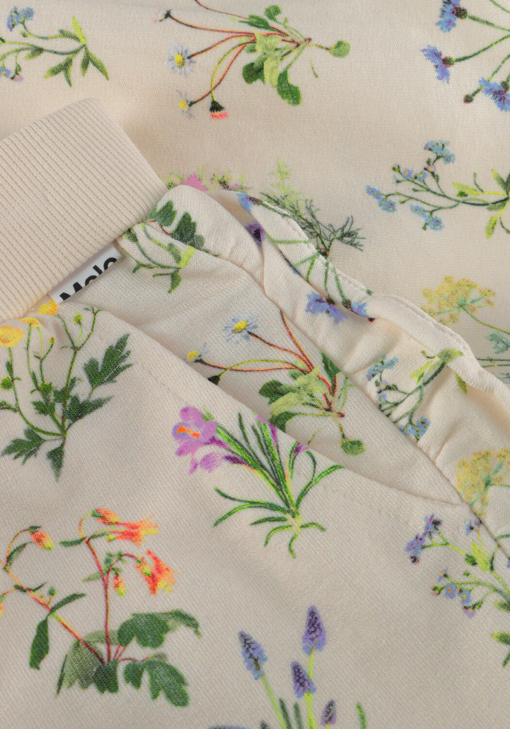 MOLO Pantalon courte ACACIA &Eacute;cru - large