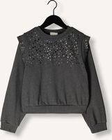 Grijze AI&KO Sweater CAROLLA STRASS CO 337 G - medium