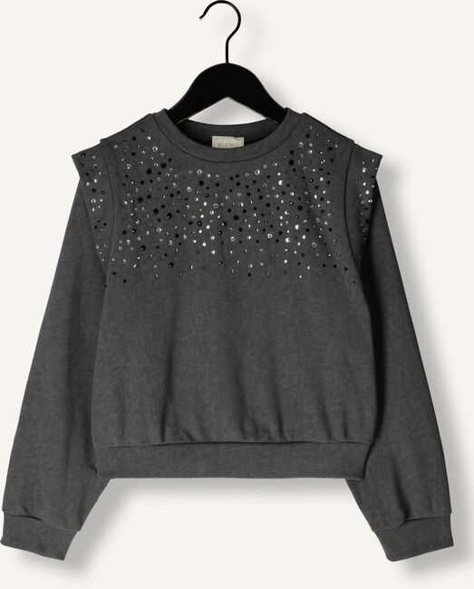 Grijze AI&KO Sweater CAROLLA STRASS CO 337 G Grijze AI&KO Sweater CAROLLA STRASS CO 337 G - large
