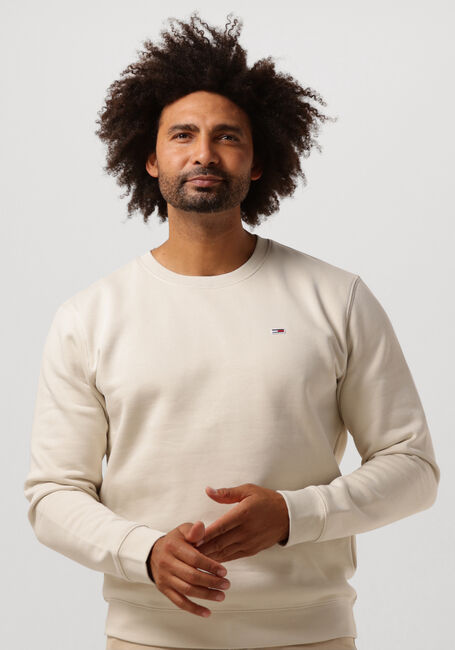TOMMY JEANS Chandail TJM REGULAR FLEECE C NECK en beige - large