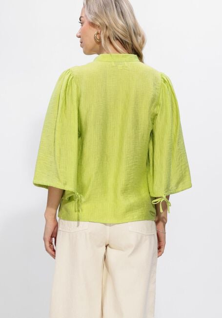 Lime AAIKO  DAHLIA VIS 532 - large
