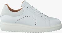 Witte VIA VAI Sneakers 4802021 - medium