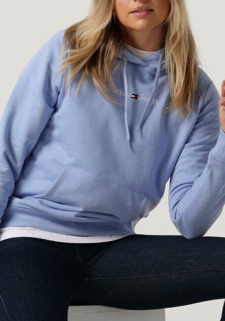 Lichtblauwe TOMMY JEANS Sweater REG SERIF LINEAR HOODIE - large