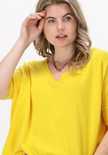 Gele NOT SHY Trui AIMEE - large