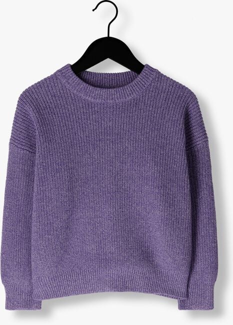 Paarse DAILY BRAT Trui CHARLIE KNITTED SWEATER LILAC - large