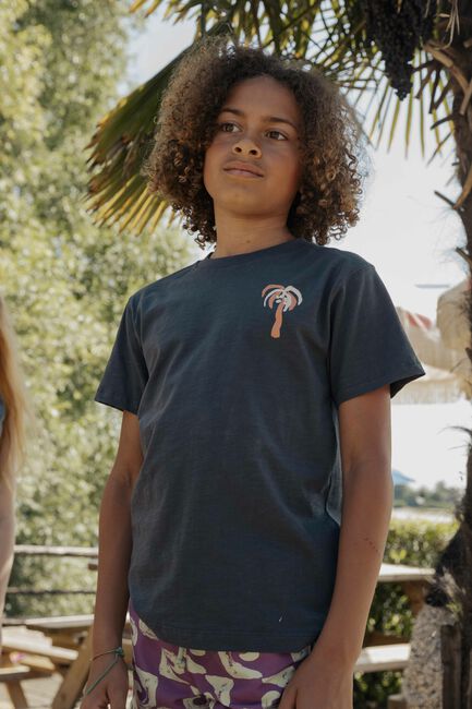 Grijze AMMEHOELA T-shirt AM.ZOE.66 - large