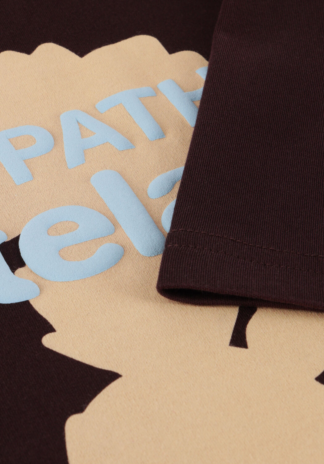 PURE PATH T-shirt REGULAR FIT T-SHIRTS en marron - large