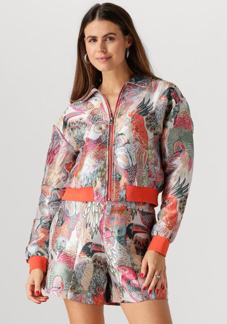STUDIO AMAYA Jack HAILEY en multicolore - large