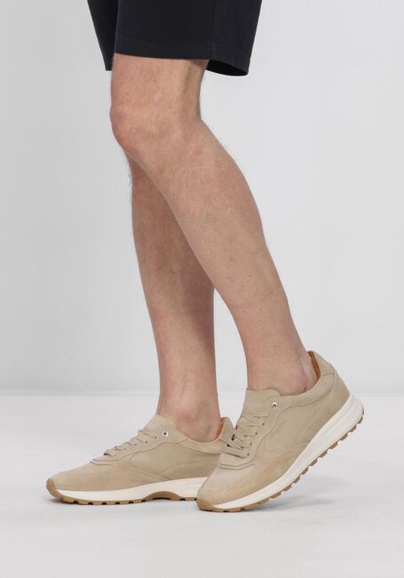 STEFANO LAURAN Baskets basses CHAMP en beige - large