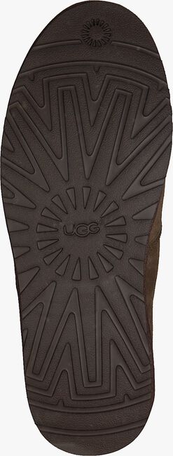 UGG COOKE - large